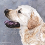 Dog painting. Davidson, Yellow Labrador