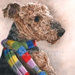 Dog painting. Rosa, Airedale