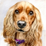 Dog painting. Rosie, Cocker Spaniel