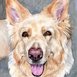 Dog painting. Roxy, German Shepherd