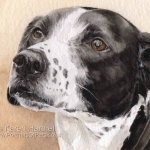 Dog painting. Somer