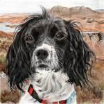 Painting of Springer Spaniel 'Pollaidh'