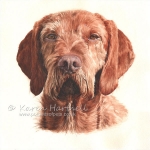 Dog painting. Tallon, Hungarian Wirehaired Vizsla