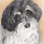 Dog painting. Toby, Havanese