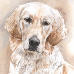 Dog painting. Wispa, Golden Retriever