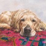 Dog painting. Wispa, Golden Retriever