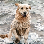 Dog painting. Bella, Golden Retriever