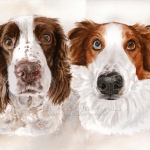 Dog painting. Bindi and AJ. Watercolour