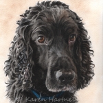 Dog painting. Charlie, Cocker Spaniel