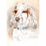 Dog painting. Fudge, Cocker Spaniel