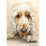 Dog painting. Jinky, Cocker Spaniel