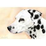 Dalmatian painting: Mona