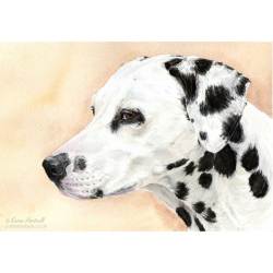 Dalmatian painting: Mona