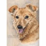 Dog painting. Cherokee