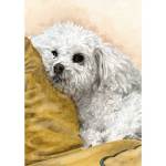 Dog painting: Pomponette