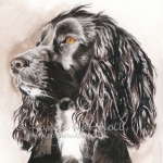 Dog painting. Farrah, Cocker Spaniel