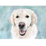 Golden Retriever painting - Flynn