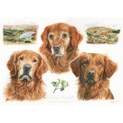 Golden Retrievers, l-r: Buddy, Sid, Hector