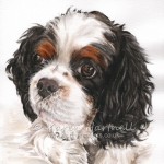 Dog painting. Harry, Cavalier King Charles Spaniel
