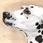 Dog painting. Molly, Dalmatian
