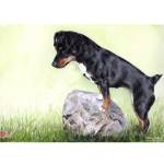 Jack Russell Terrier painting - Penny