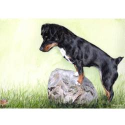 Jack Russell Terrier painting - Penny