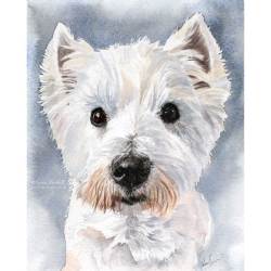 watercolour painting of West Highland Terrier, Casper
