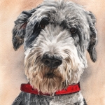 Dog painting. Pancho, Otterhound