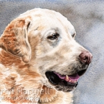 Dog painting. Sherpa, Yellow Labrador
