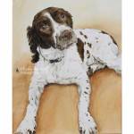 Dog painting. Rosie, Springer Spaniel