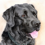 Dog painting. Woody, Black Labrador
