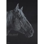 Horse drawing. American Quarter Horse – For Sale