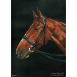 Horse painting.  Guy, Irish Sport Horse, Acrylics