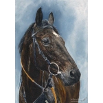 King Of Answers. Thoroughbred Horse