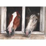 Horse painting. Talavera and Salamanca, watercolour