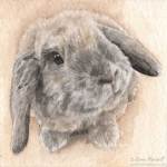 Rabbit painting. Aspen