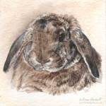 Rabbit painting. Carlos