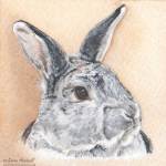 Rabbit painting. Cleo