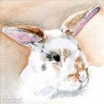 Rabbit painting. Reggie