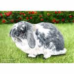 Rabbit painting. Titch