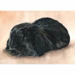 Rabbit painting. Oreo