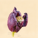 Harvest Mouse in a Tulip. Watercolour, gouache, approx 8" x 8" . Tinted watercolour paper. Ref photo: Belinda Fewings,  Unsplash.com. Print available to purchase in my online Shop. Original sold.