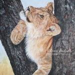 Young Lion in a tree. Acrylics, A3 size. (ref photo: Laura Hanton @ Wildlife Reference Photos)