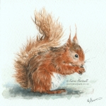 For Sale. Red Squirrel. Watercolour painting, 5" x 5". Original available to purchase in my online Shop