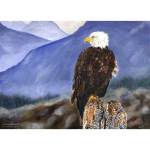Bald Eagle Coast Watch