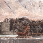 White-tailed Eagles above Loch Leven