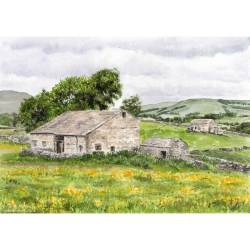 Field Barns at Burtersett, Wensleydale, Yorkshire Dales