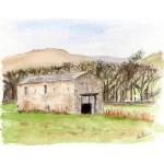 Traditional Field Barn near Gunnerside, Swaledale. Yorkshire Dales. Watercolour and ink