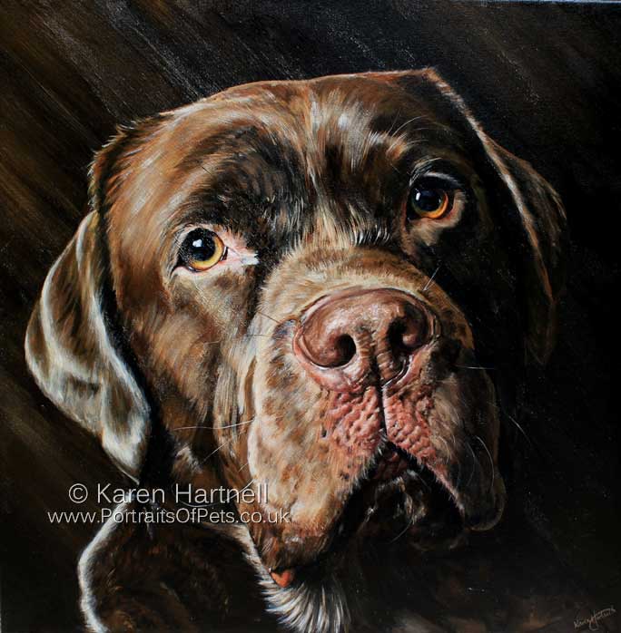 Logie, a chocolate labrador painting in acrylics