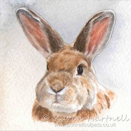 A 3" x 3" miniature watercolour painting of a rabbit called 'Buddy'